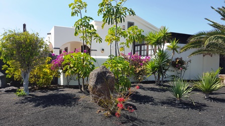 Mature Canarian Gardens