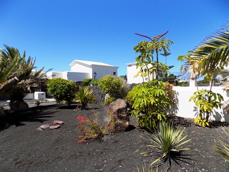 Mature Canarian Gardens