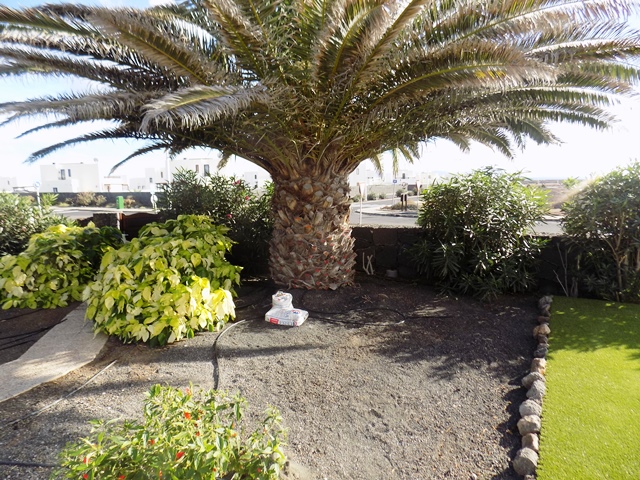 Mature Gardens to side of villa