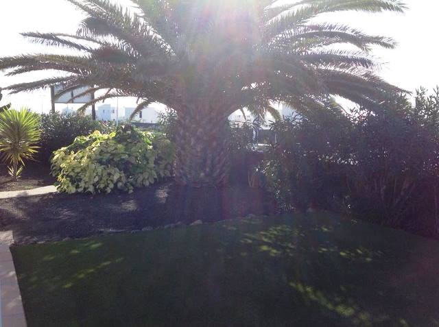 Mature Gardens to side of villa