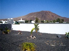 View across Private Gardens to Mountains