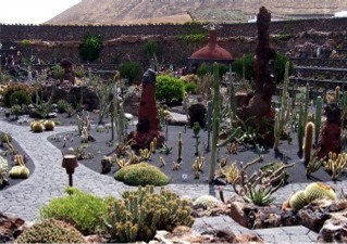 Excursion - Jardin de Cactus